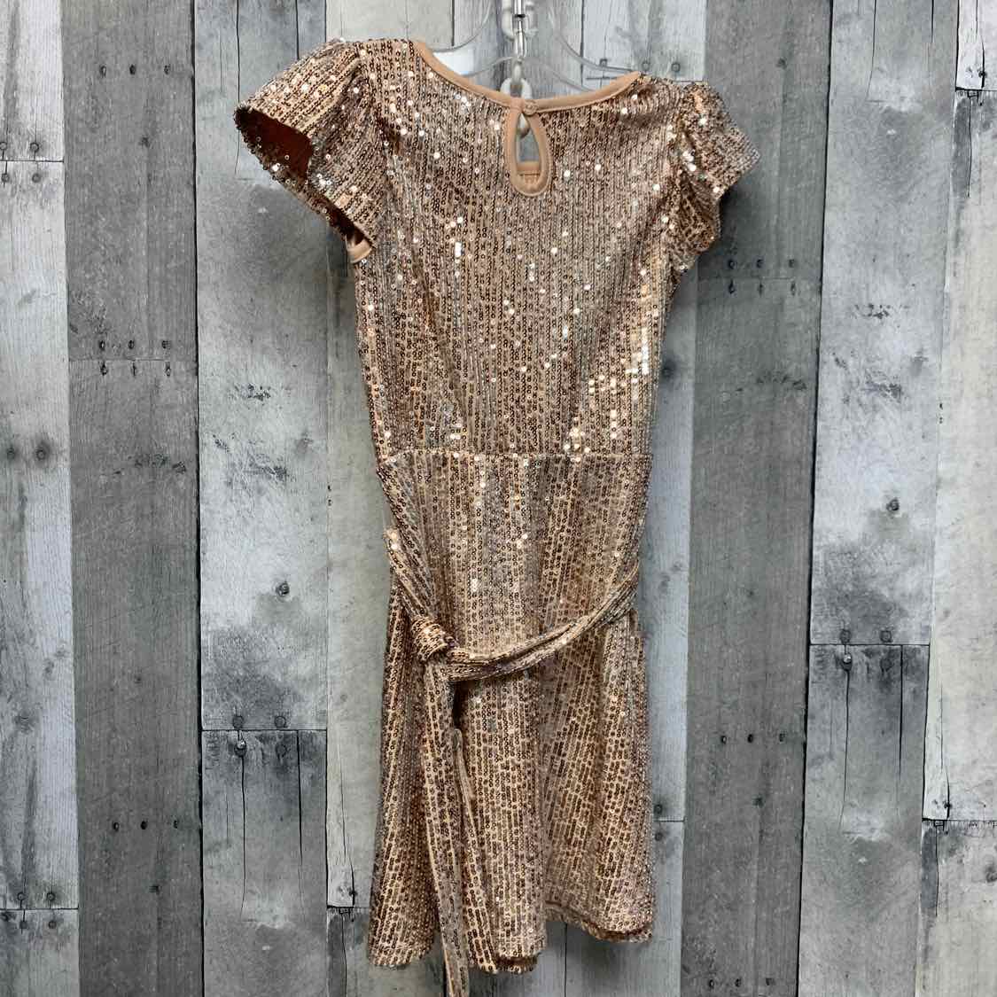 Size 6 Tan/Gold 2 Hip Dress