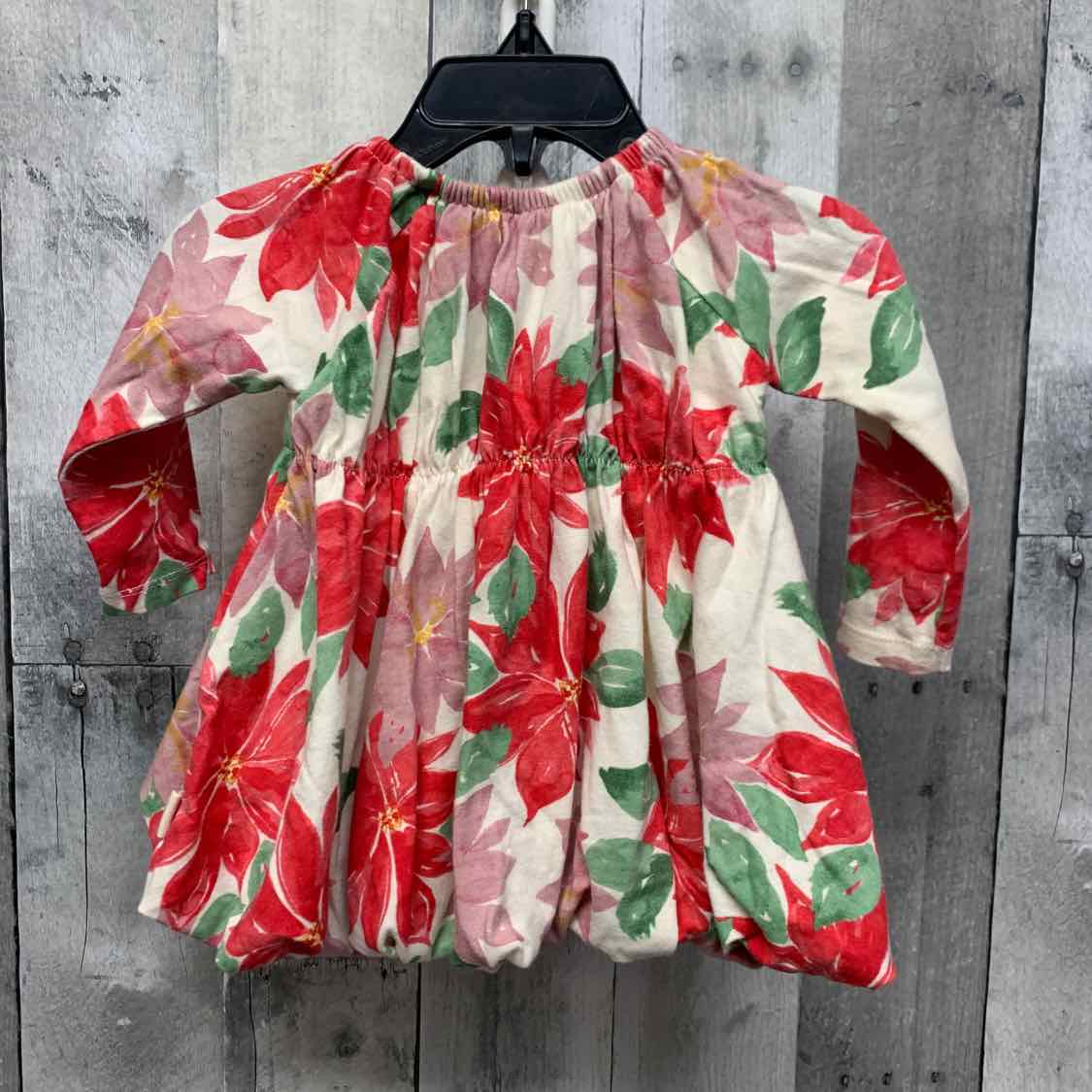 Size 0-3 Months Ivory/Red Burt's Bees Baby LS Dress