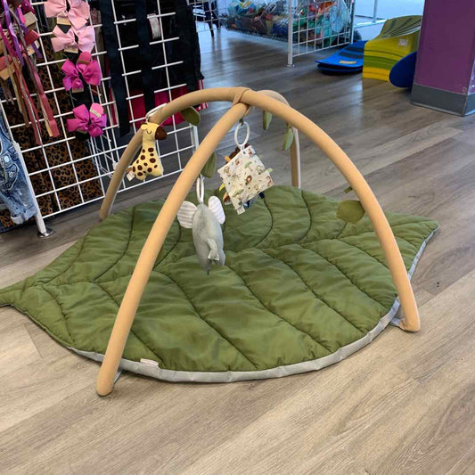 Generic Green Floor Gym
