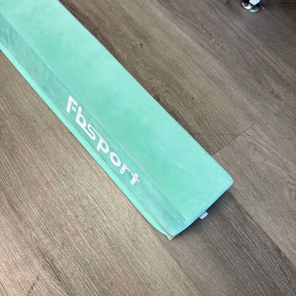 Generic Teal Misc Sports Toy