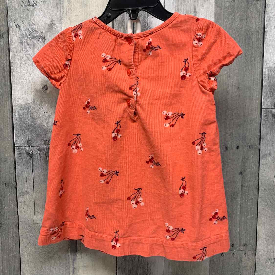 Size 12-18 Months Coral Gap Dress