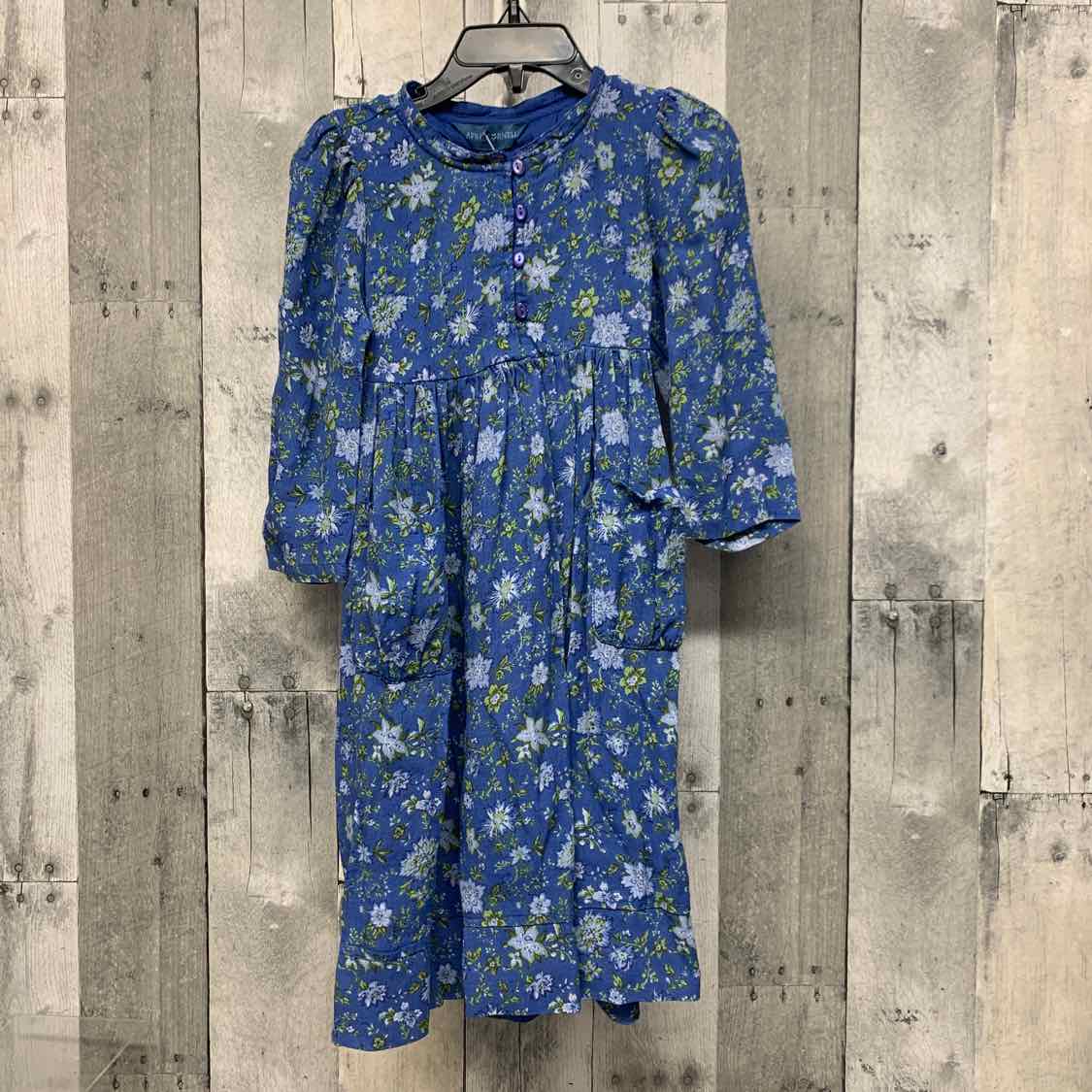 Size 3/4 Blue Floral Print B Brand LS Dress