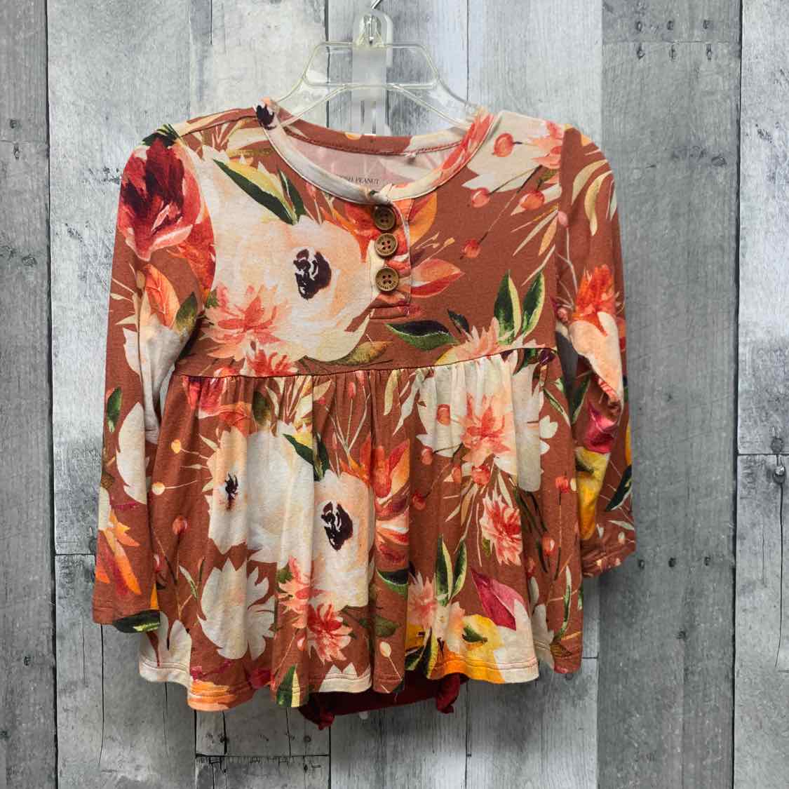 Size 2T Red/Green Posh Peanut Shirt/Shorts