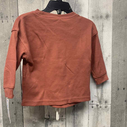 Size 12 Months Brown Graphic Carter's Long Sleeve Shirt