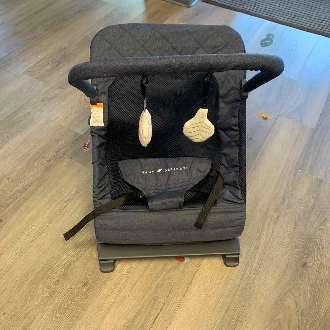 Baby Delight Navy Bouncer