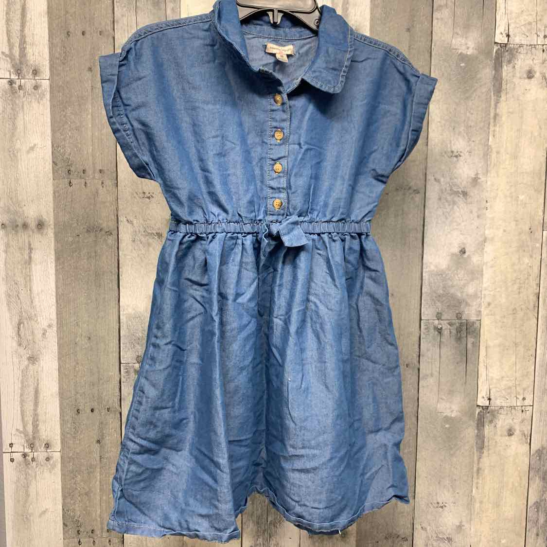 Size 10 Denim Nannette Dress
