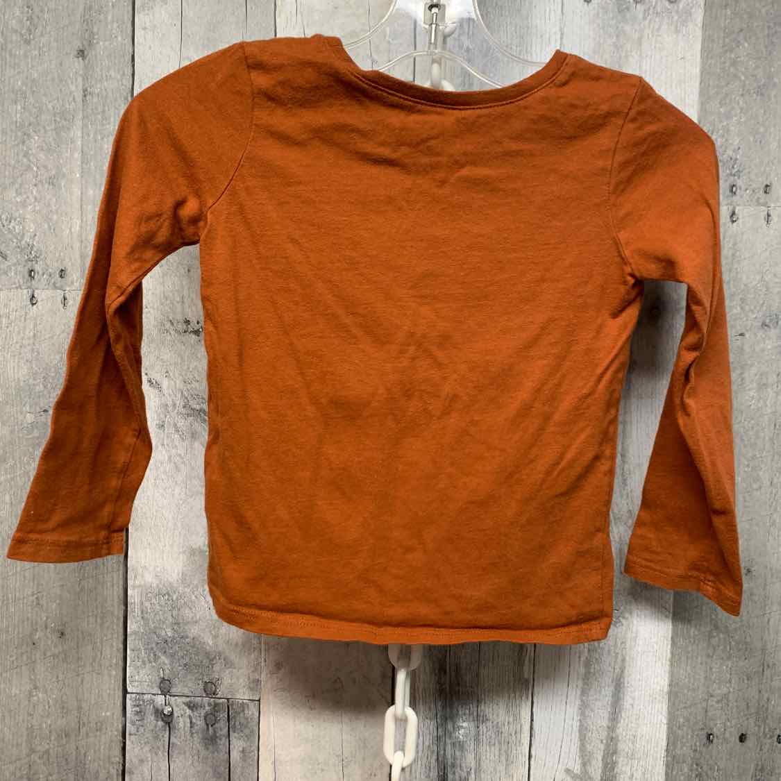 Size 4T Brown Children's Place Long Sleeve Shirt