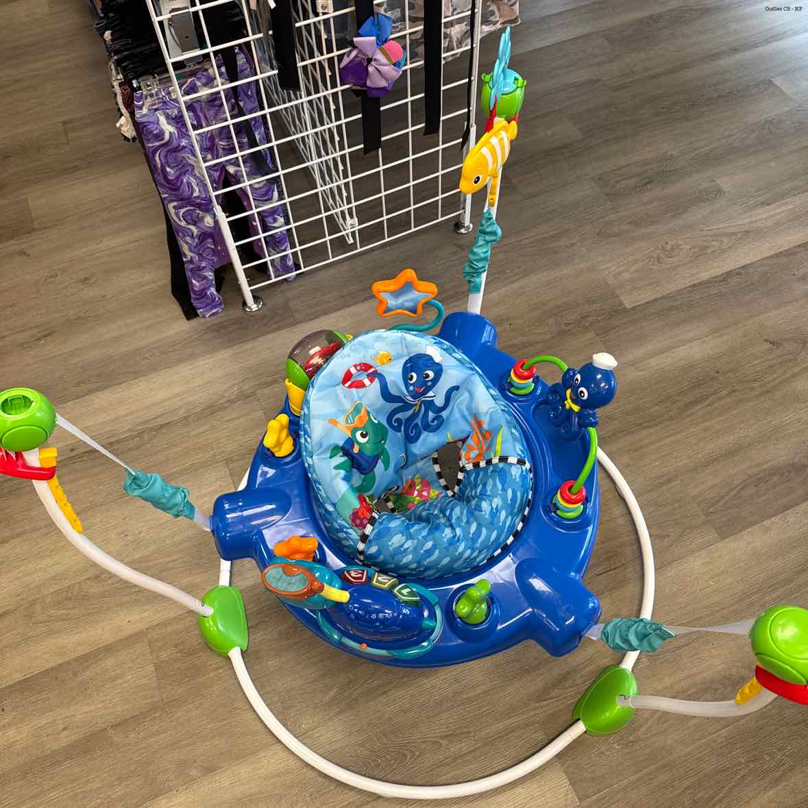 Baby Einstein Blue Jumperoo - OodlesCB