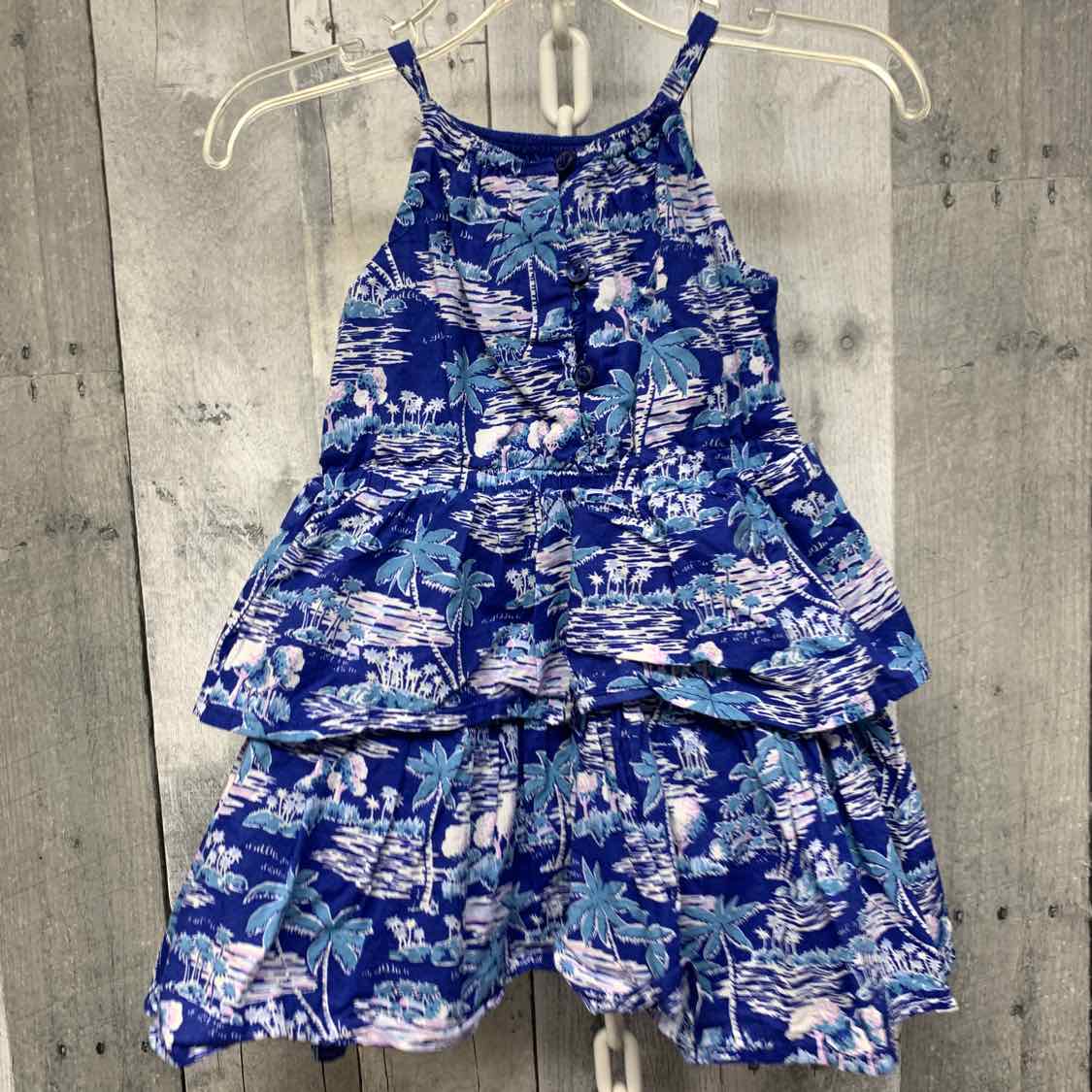 Size 12-18 Months Blue Print Janie & Jack Dress