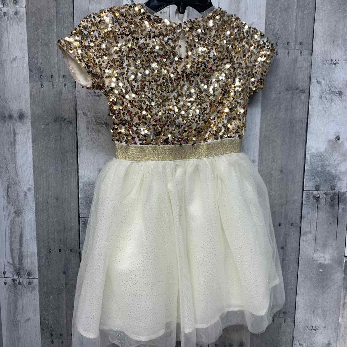 Size 6 Gold B Brand Dress