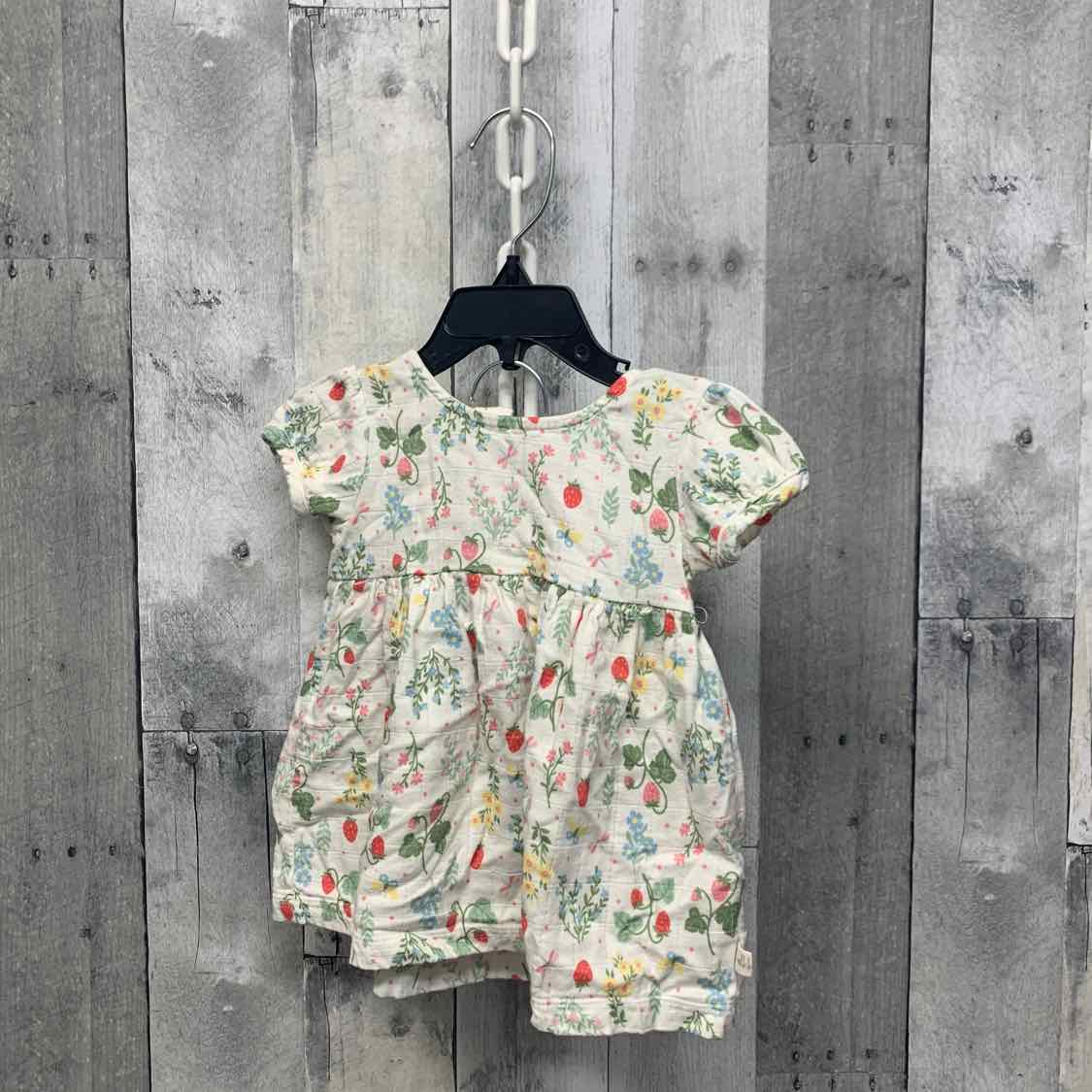 Size 3-6 Months White Floral Print Name Brand 2pc Dress