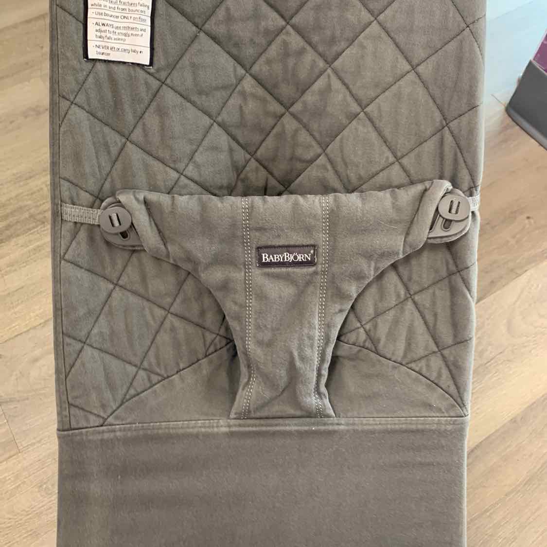 Baby Bjorn Gray Bouncer