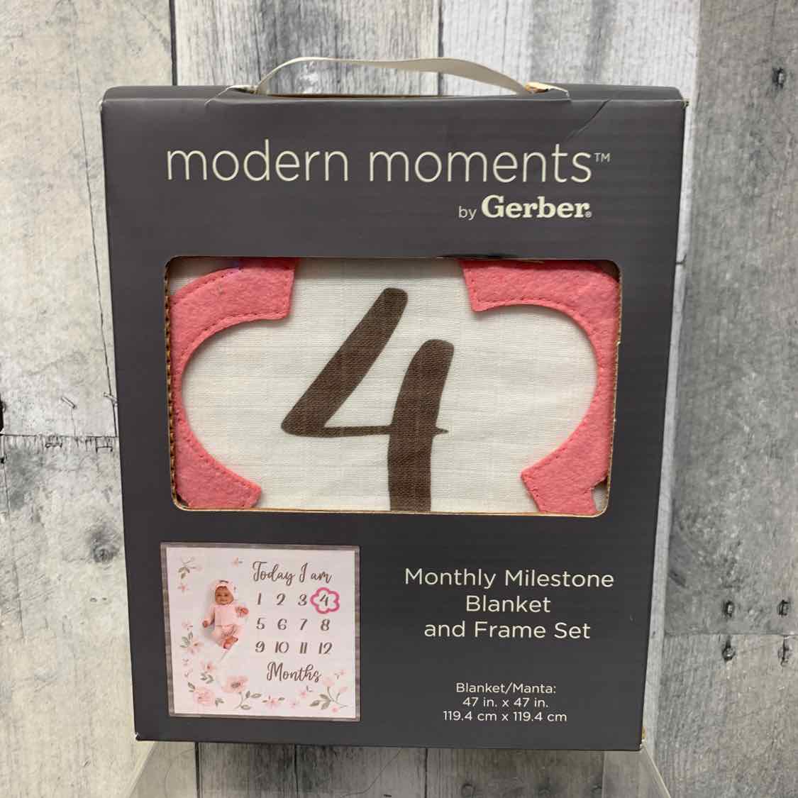 Gerber Pink/White Flowers Photo Prop