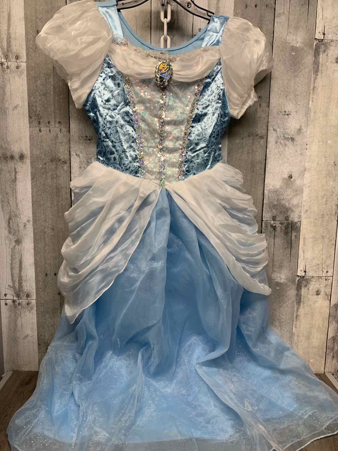 Disney Blue Size 13 Halloween Costume - Big Kid