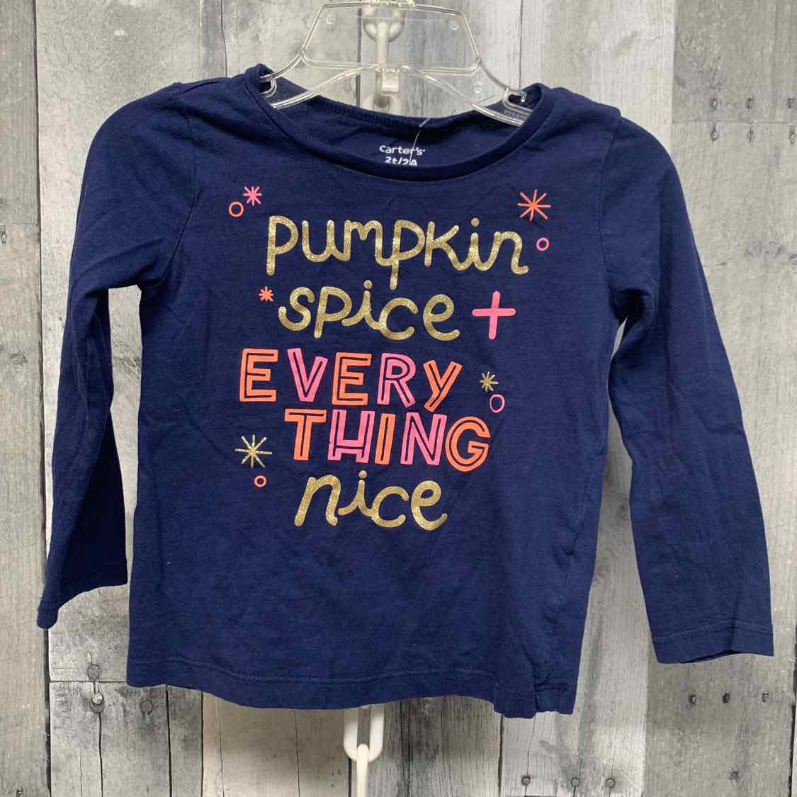 Size 2T Navy Carter's Long Sleeve Shirt