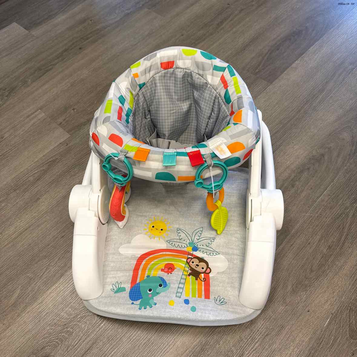 Bright Starts Gray Infant Seat