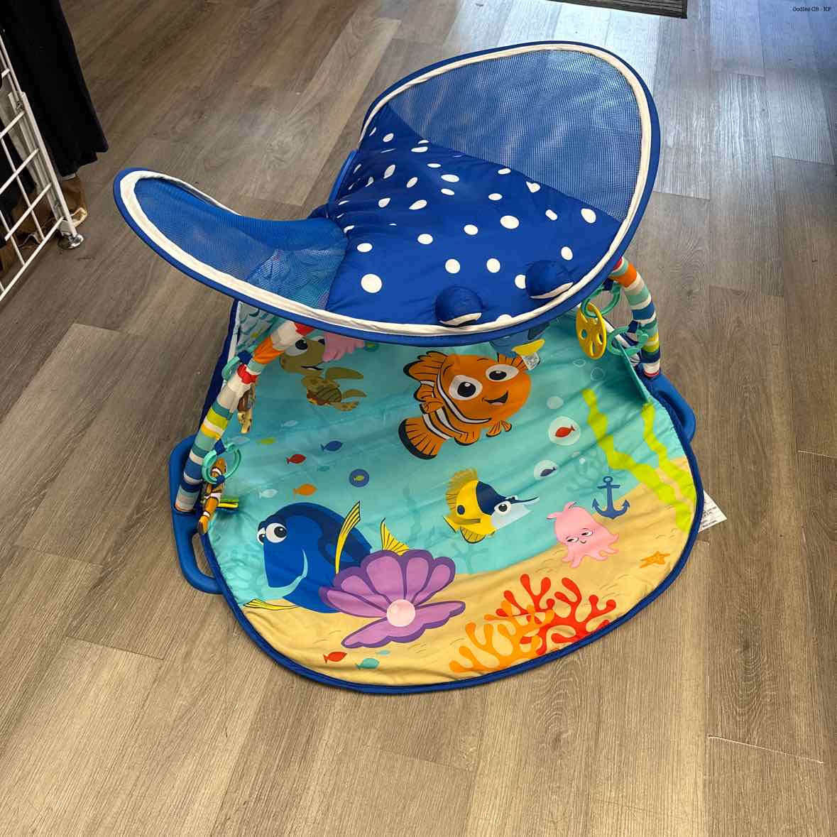 Bright Starts Blue Floor Gym