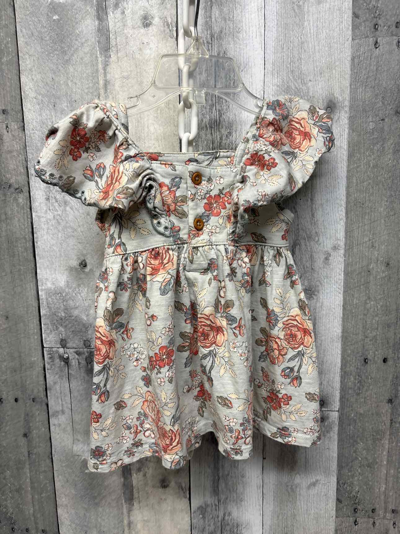 Size 12 Months Blue/Pink Modern Moments by Gerber Dress