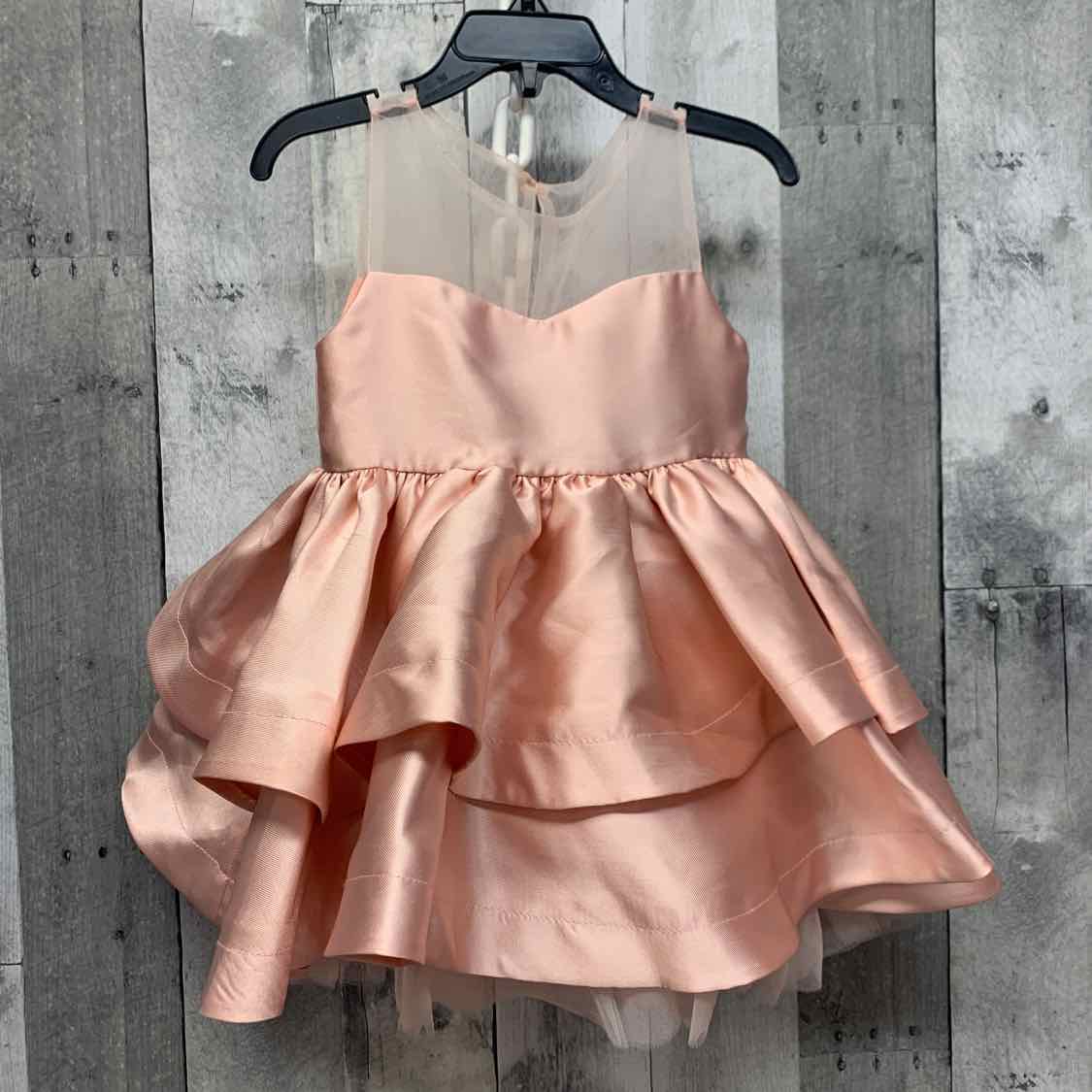 Size 2T Pink Rare Editions Dress - Party