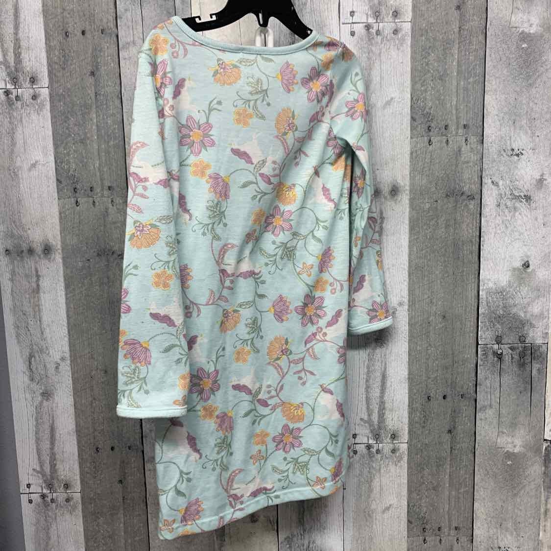 Size 4/5 Blue/Purple Carter's Nightgown