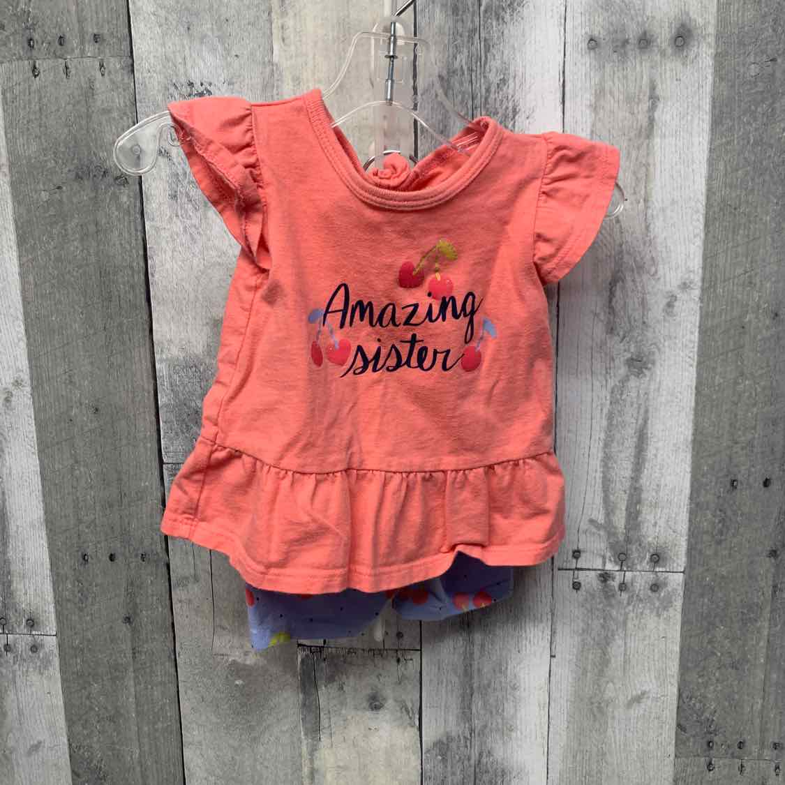 Size 9 Months Pink/Blue Carter's Shirt/Shorts