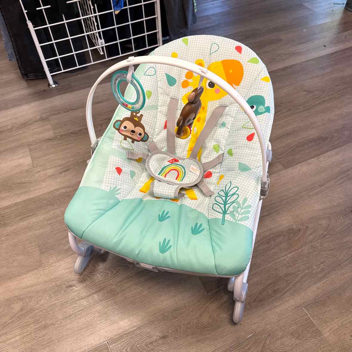 Bright Starts Teal/White Rocker