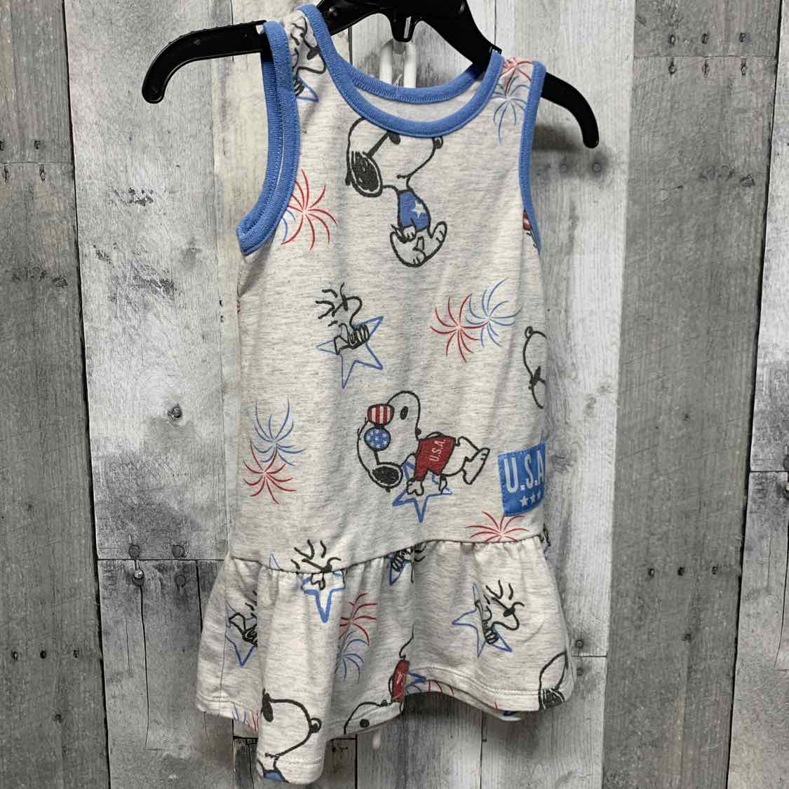 Size 18 Months Gray Print Peanuts Dress - Knit