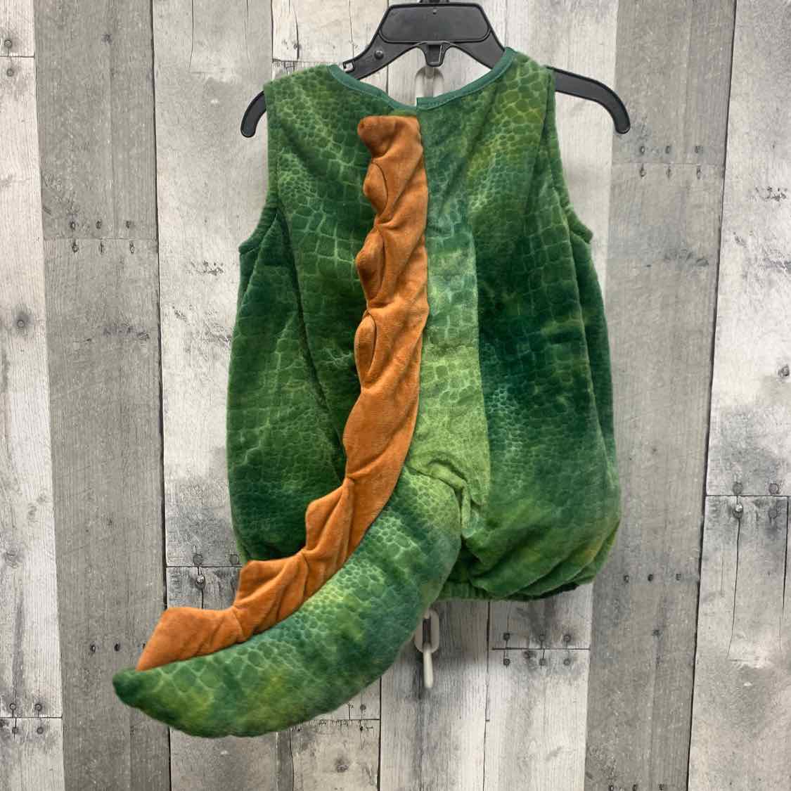 Spirit Green/Brown Size 18-24 Months Halloween Costume - Little Kid