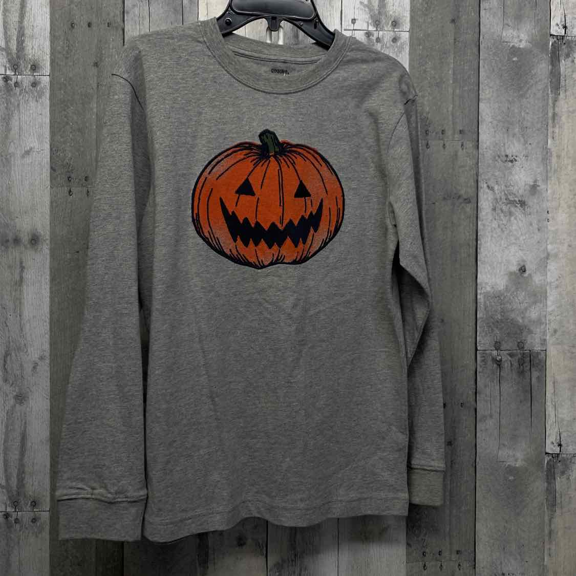 Size 12 Gray Graphic Gymboree Long Sleeve Shirt
