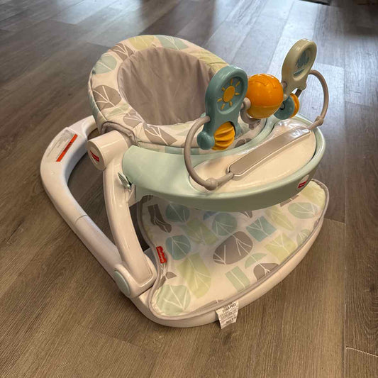 Fisher Price Gray/White Infant Seat