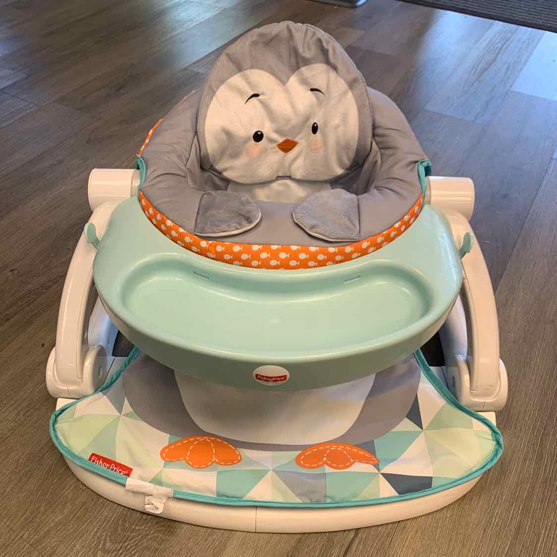 Fisher Price Gray/Blue Infant Seat
