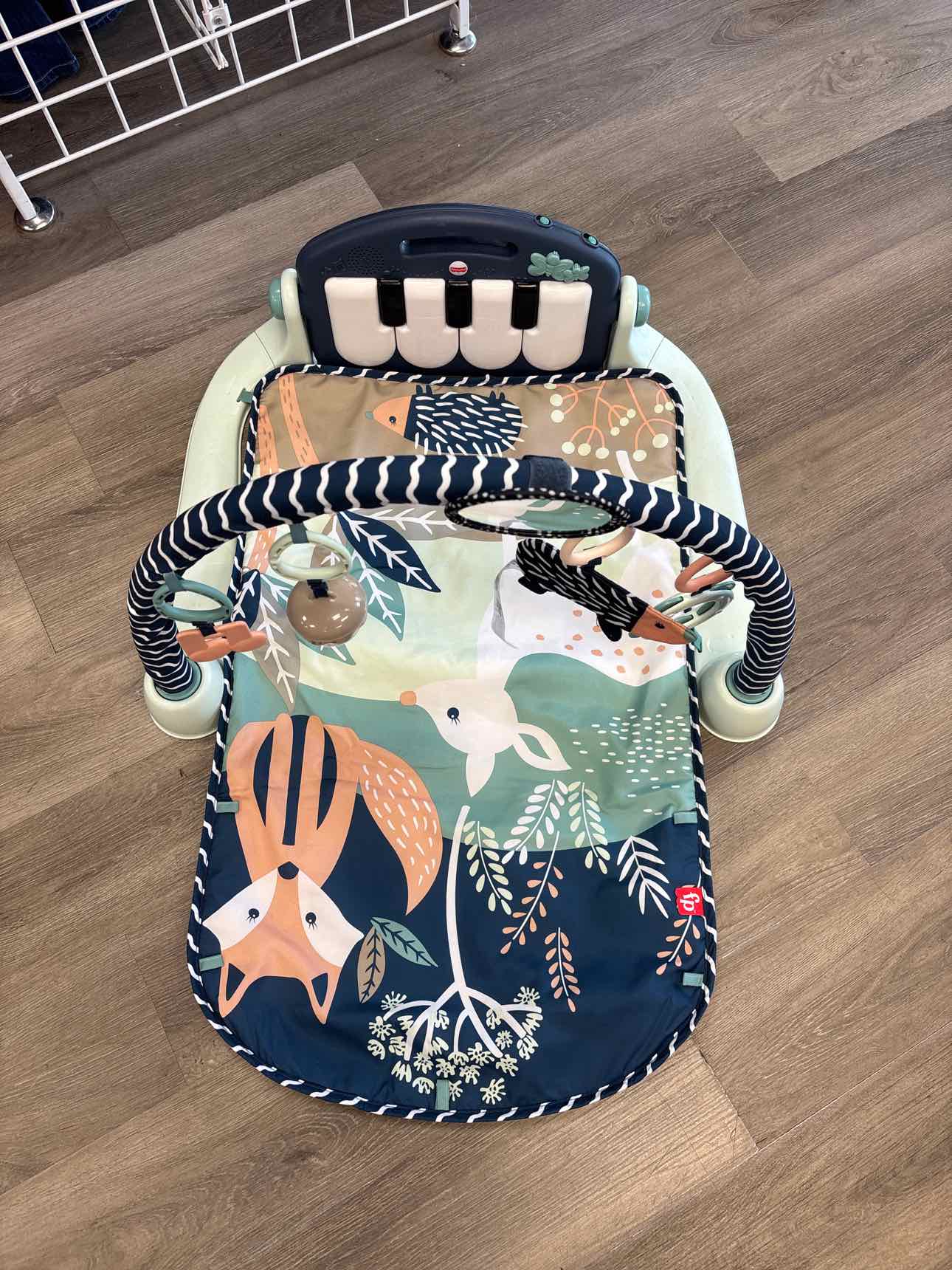 Fisher Price Navy Floor Gym