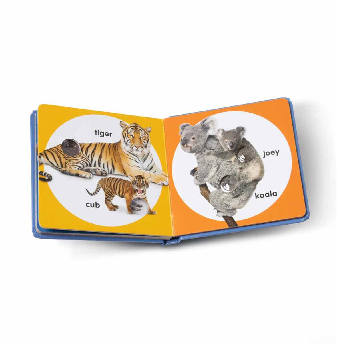 Melissa & Doug Poke-A-Dot - Wild Animal Families