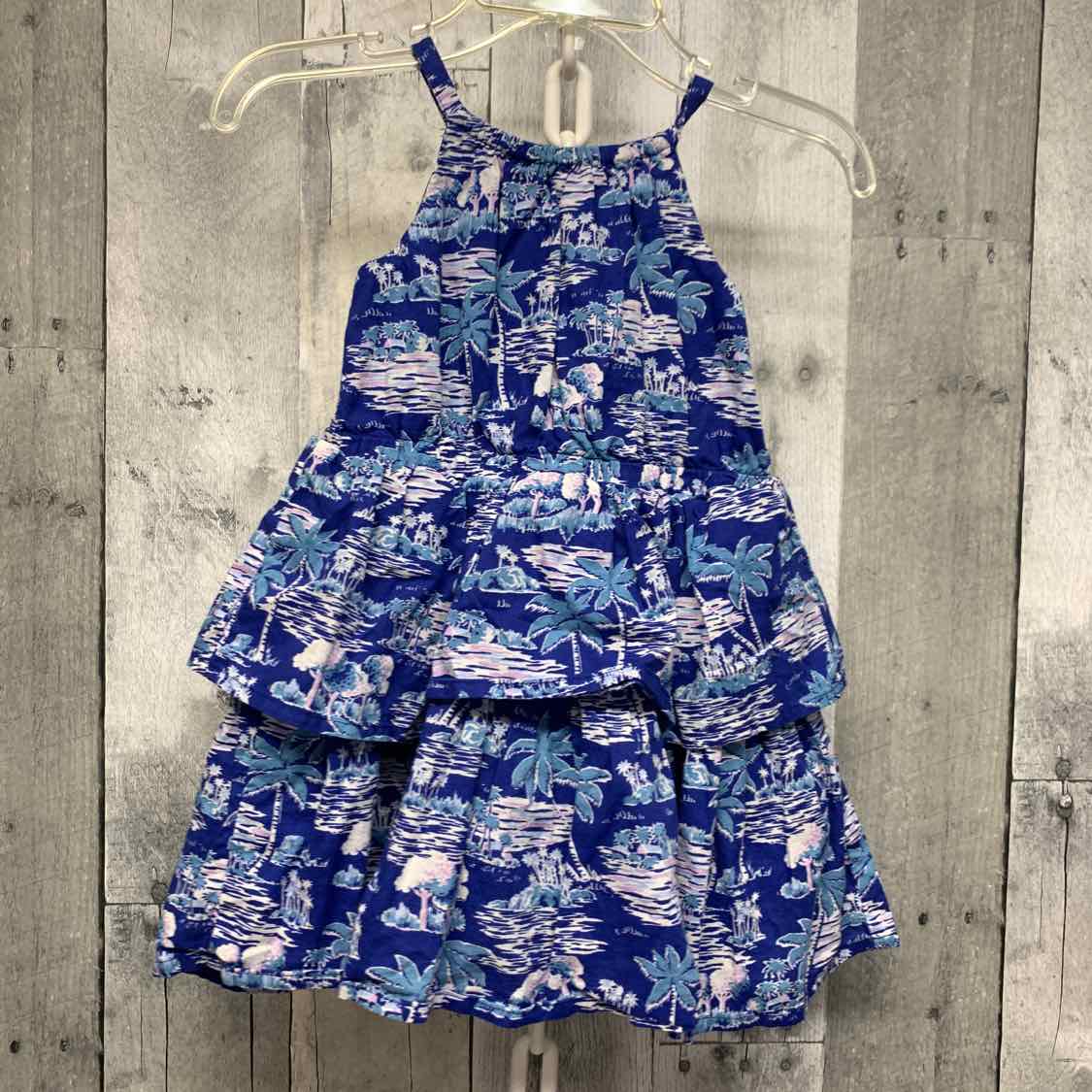 Size 12-18 Months Blue Print Janie & Jack Dress