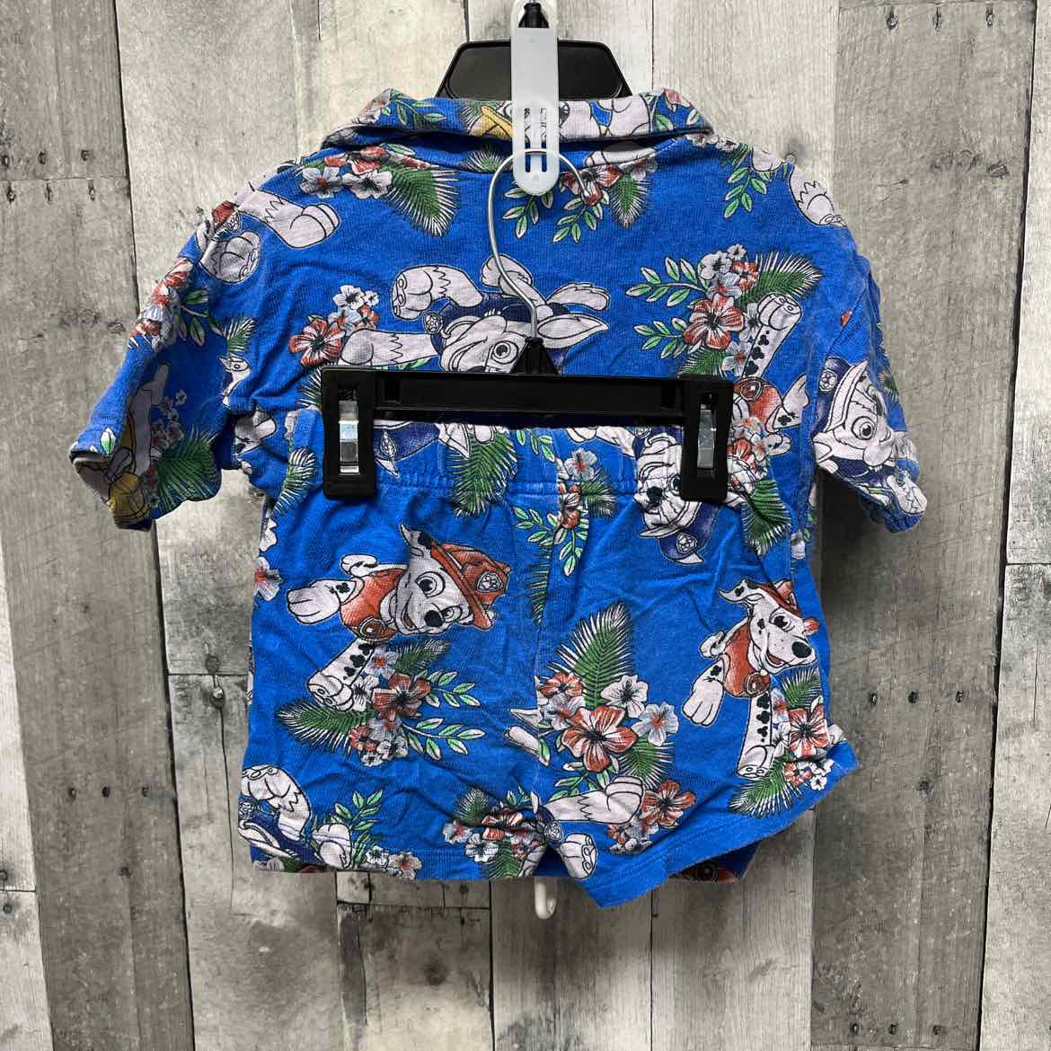 Size 2T Blue Graphic Paw Patrol Shirt/Shorts