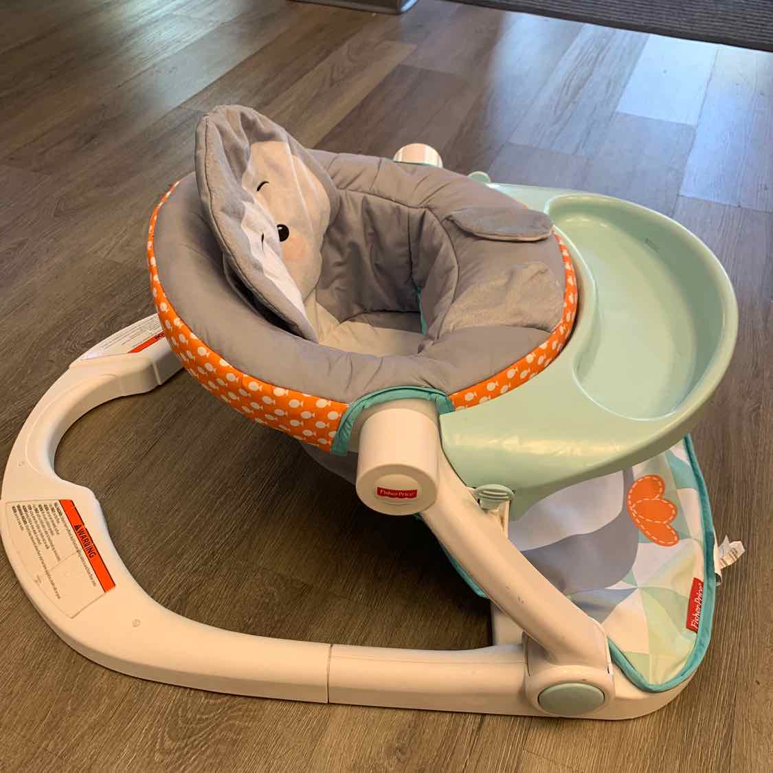 Fisher Price Gray/Blue Infant Seat