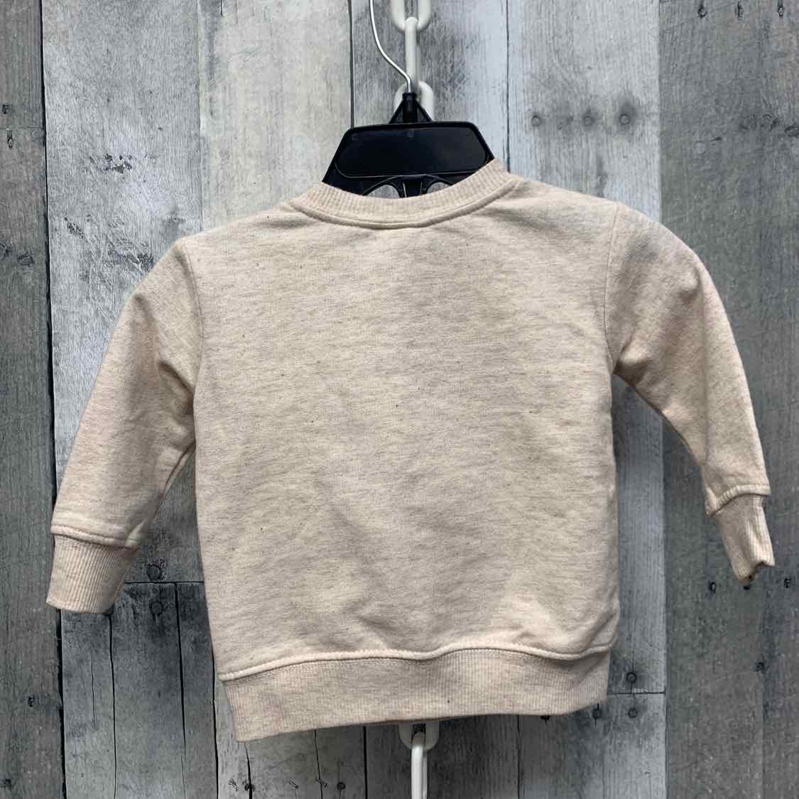 Size 0-3 Months Tan Print Disney Pull Over