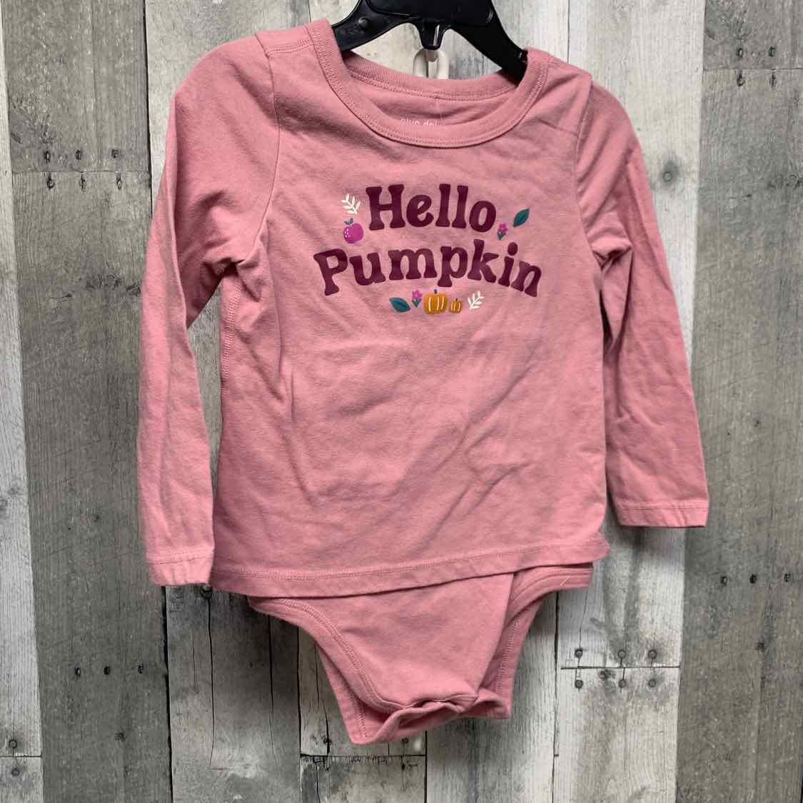 Size 2T Pink Graphic Okie Dokie Bodysuit