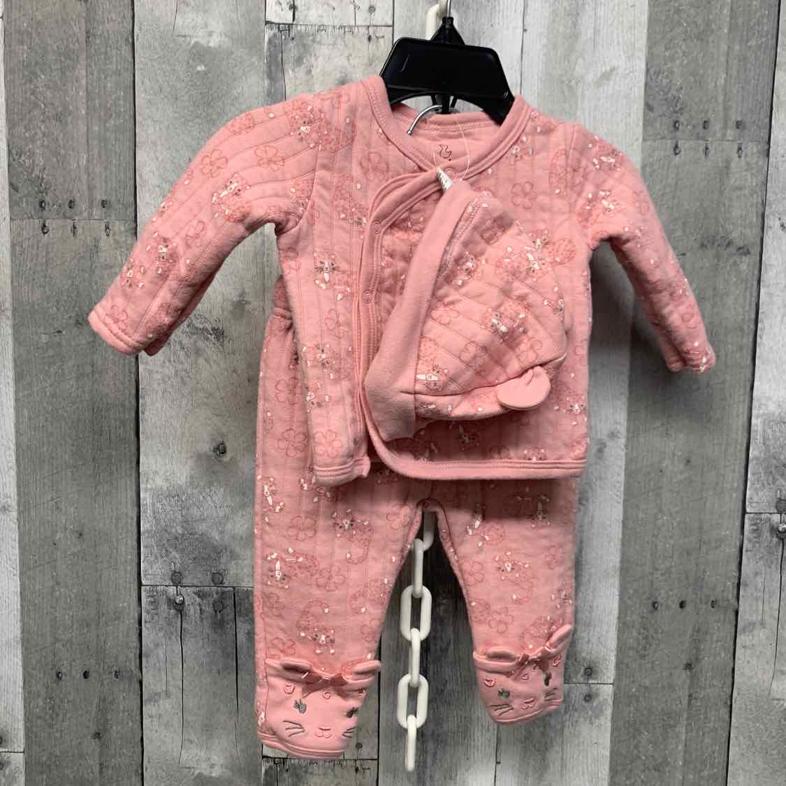 Size 0-3 Months Pink Animal Print Duck Duck Goose Shirt/Pants