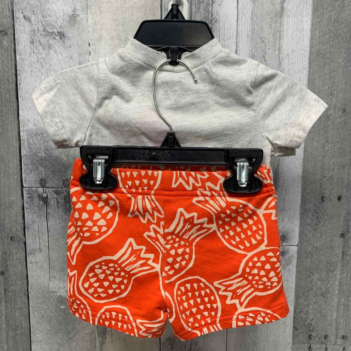 Size 3 Months Gray/Orange Carter's Shirt/Shorts