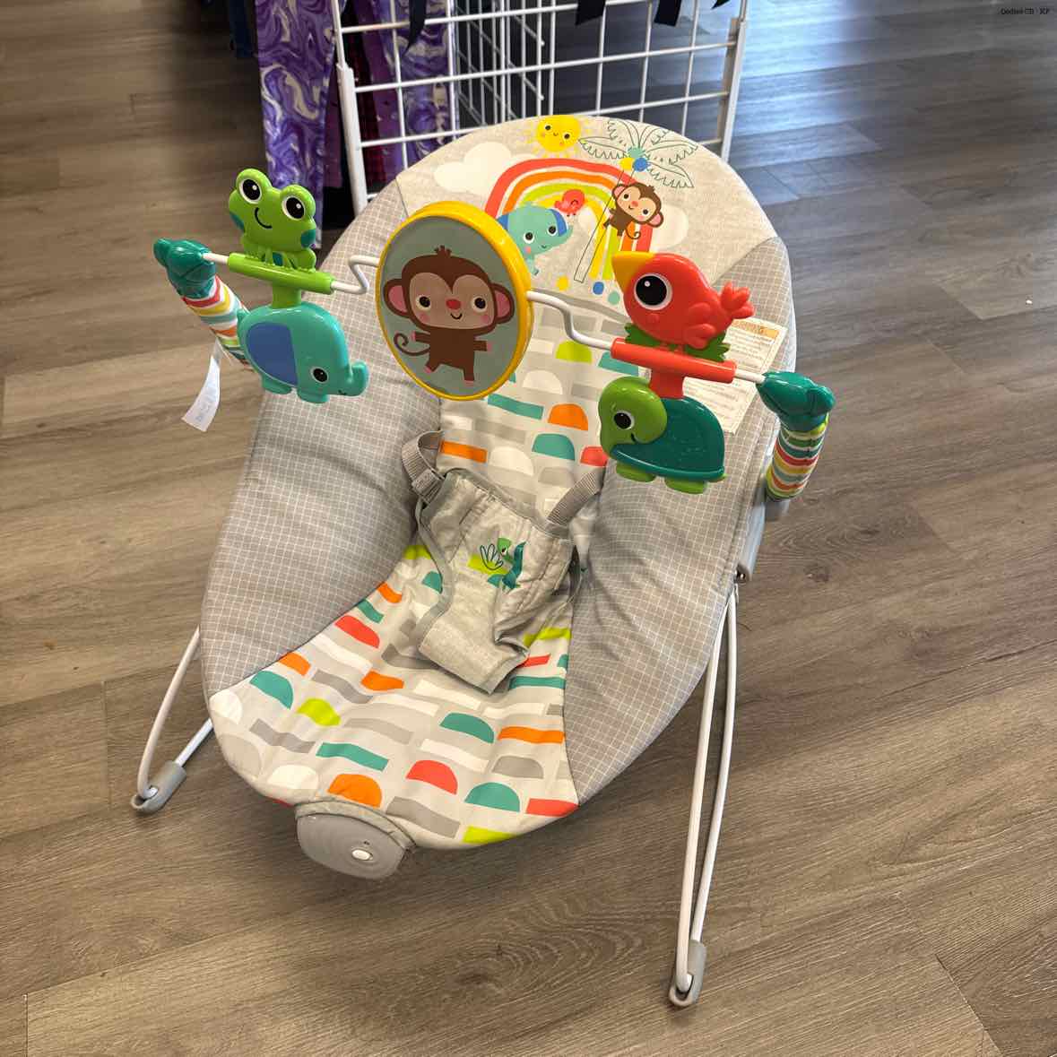 Bright Starts Gray Bouncer