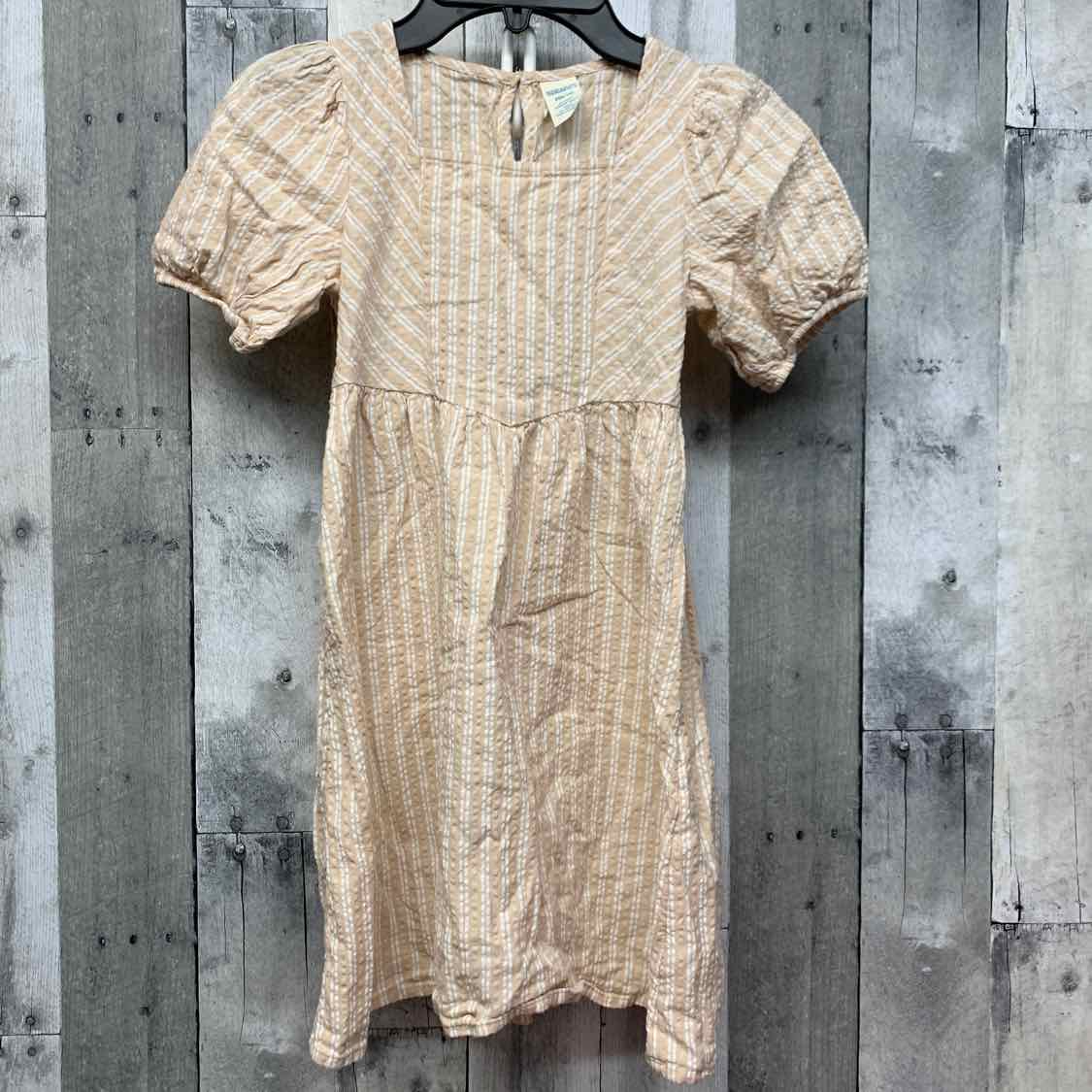 Size 6 Tan/White Thereabouts Dress
