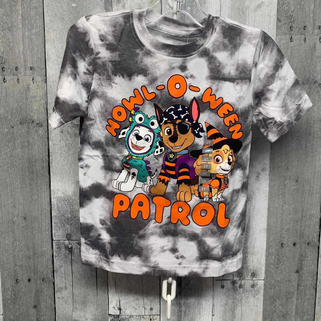 Size 2T Gray Graphic Nickelodeon T Shirt