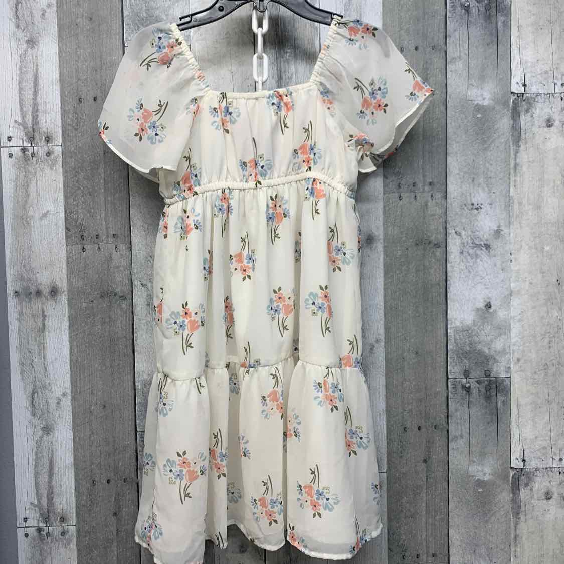 Size 10 Ivory Graphic Carter's Dress