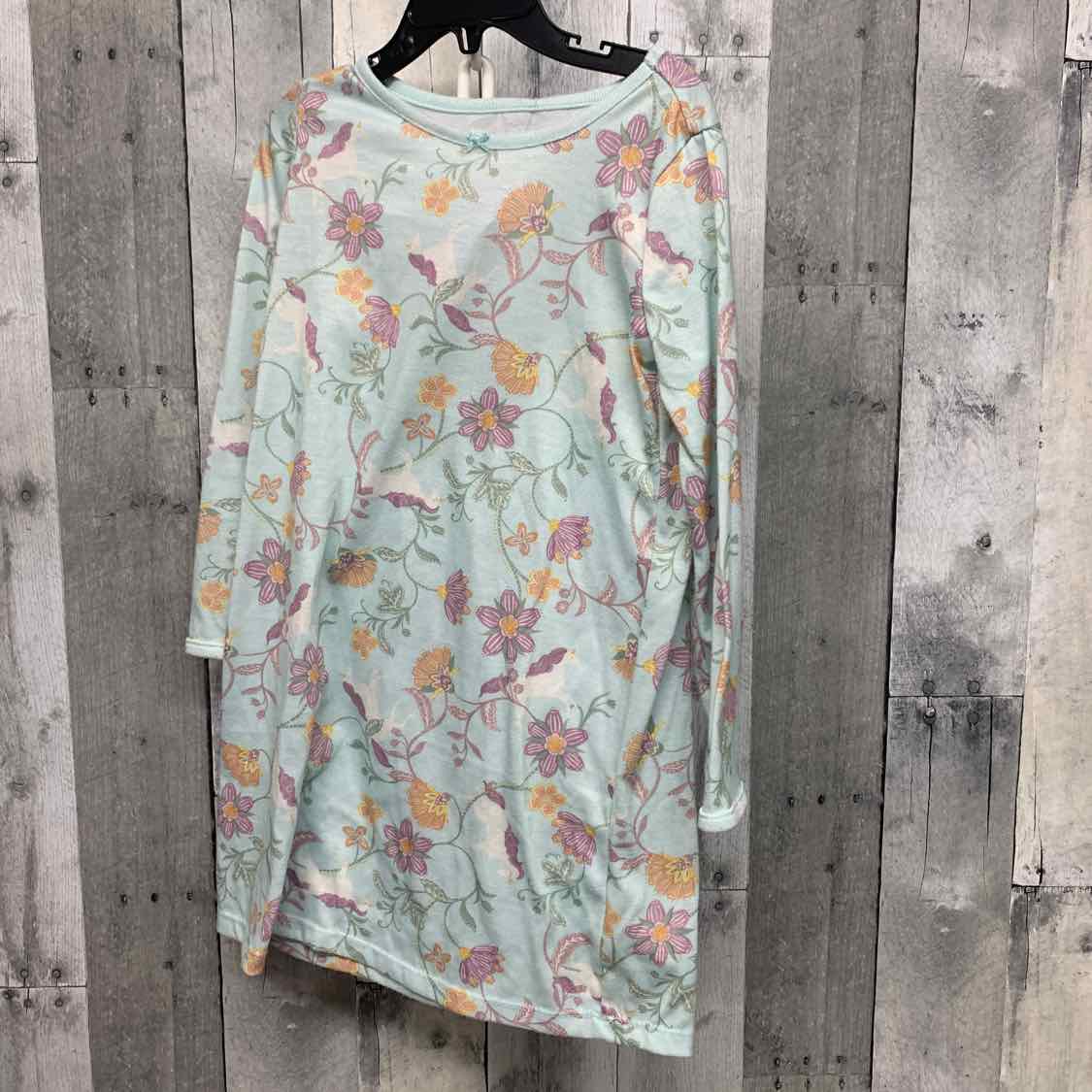 Size 4/5 Blue/Purple Carter's Nightgown