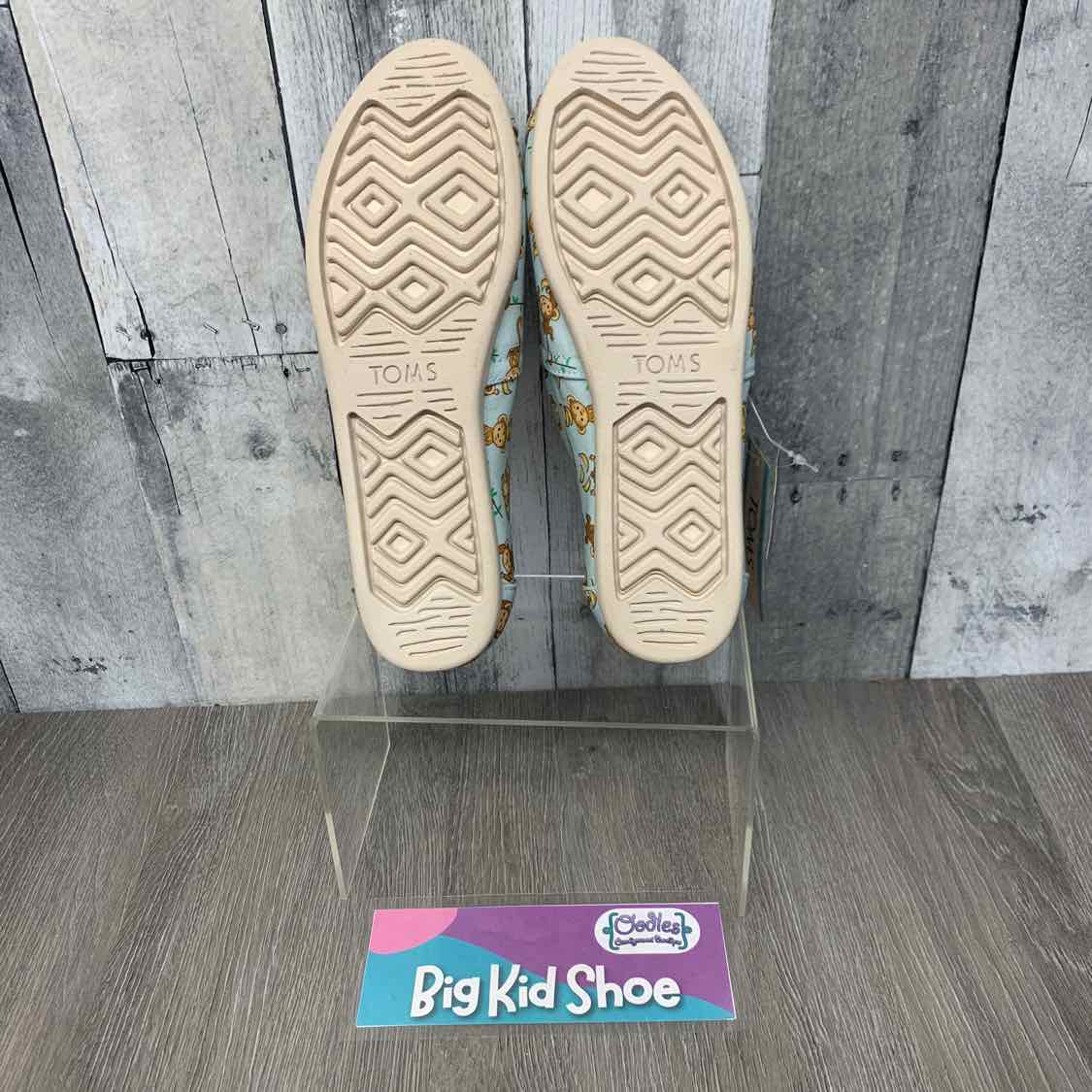 Size 7 Blue Print Toms Sneakers
