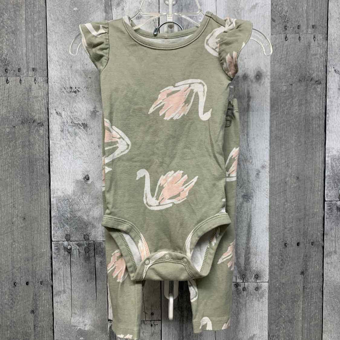 Size 12 Months Green Floral Print Carter's Shirt/Leggings