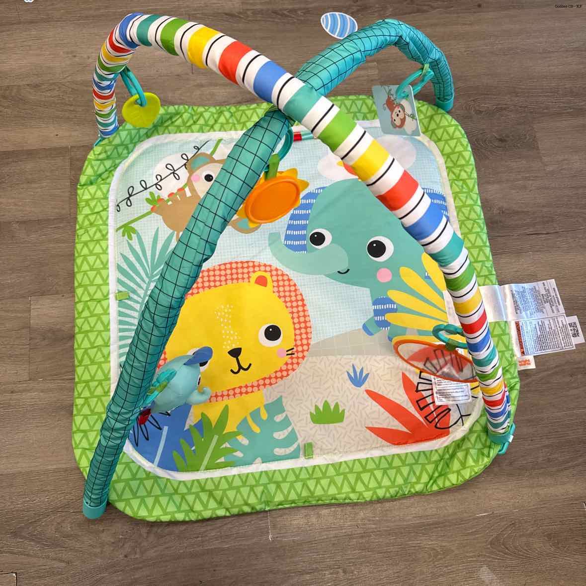 Bright Starts Teal/Orange Floor Gym