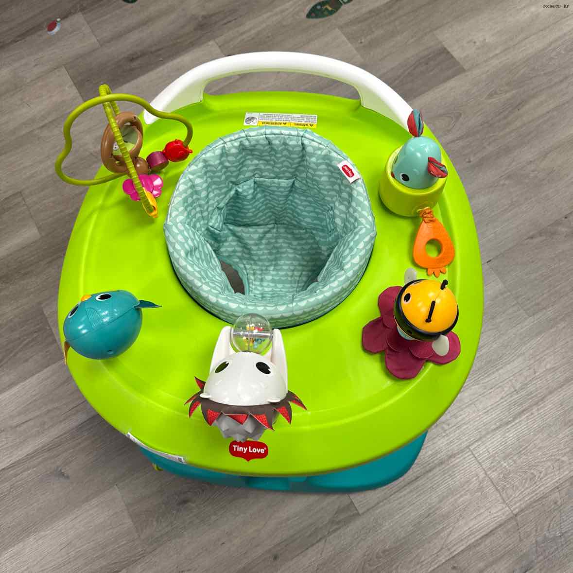 Tiny Love Green/White Exersaucer