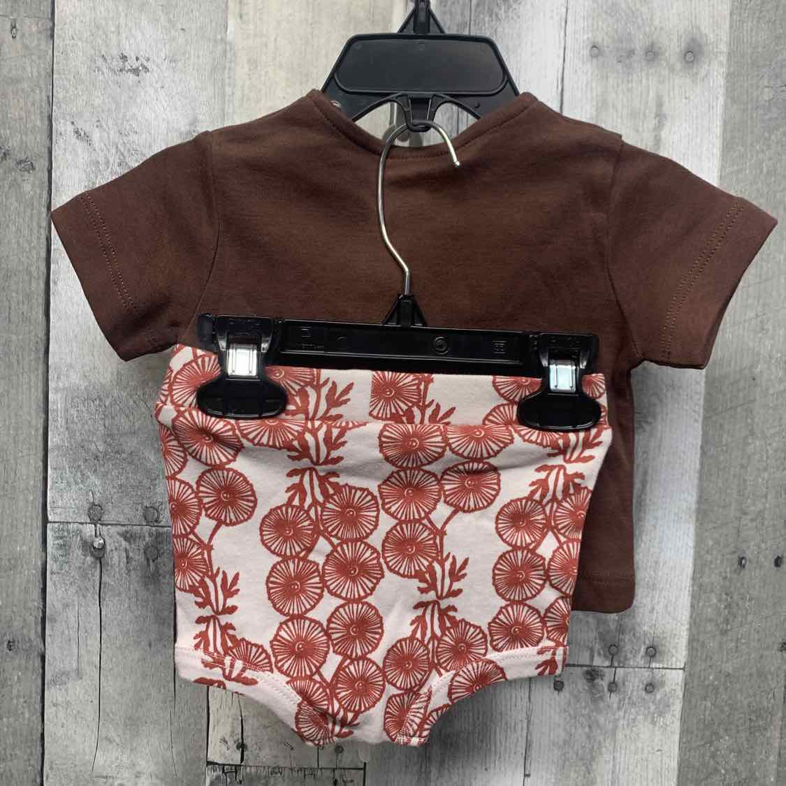 Size 3-6 Months Brown Kate Quinn Shirt/Shorts
